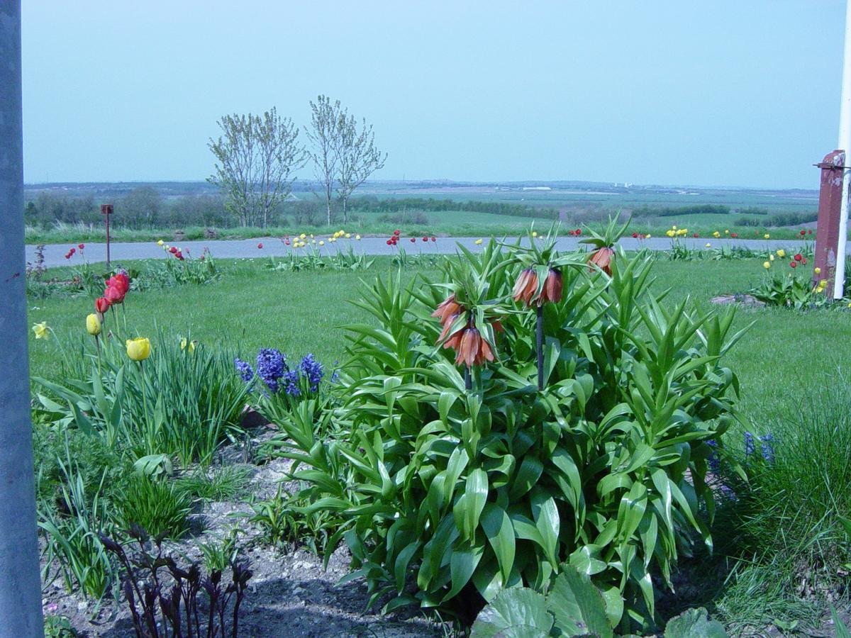 Bed and Breakfast Kardybvej 8 Tastum Екстер'єр фото